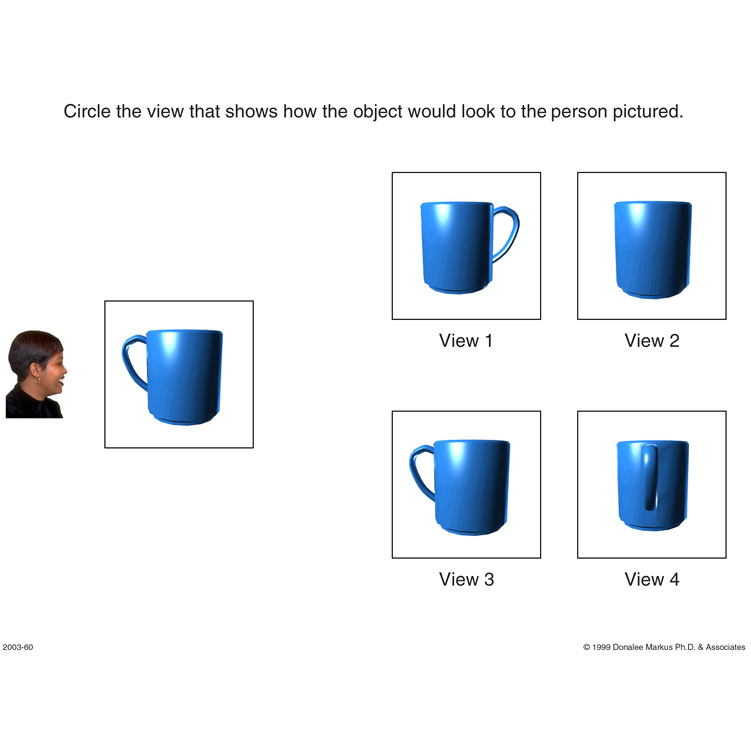 Spatial Orientation Variation in Perspective 2 preview page 1