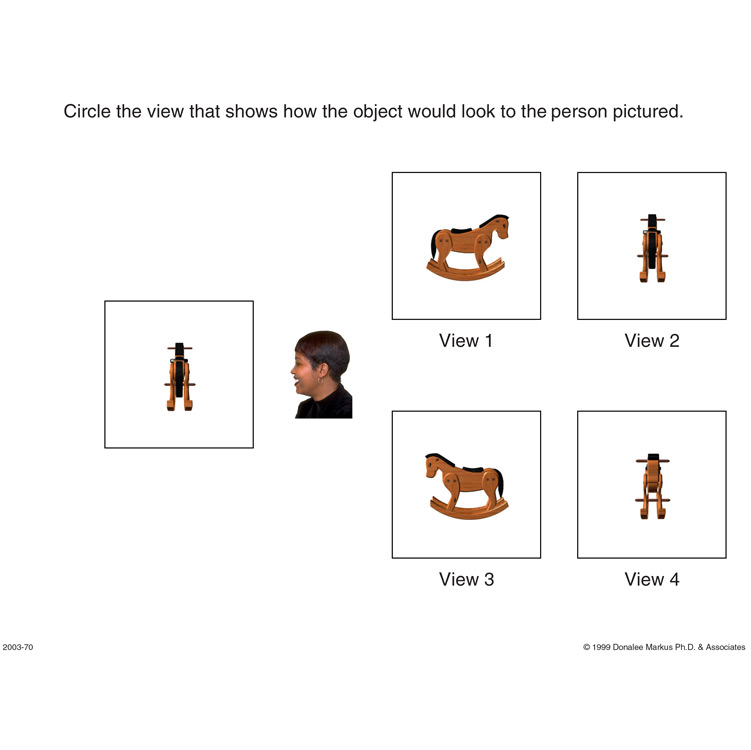 Spatial Orientation Variation in Perspective 2 preview page 2