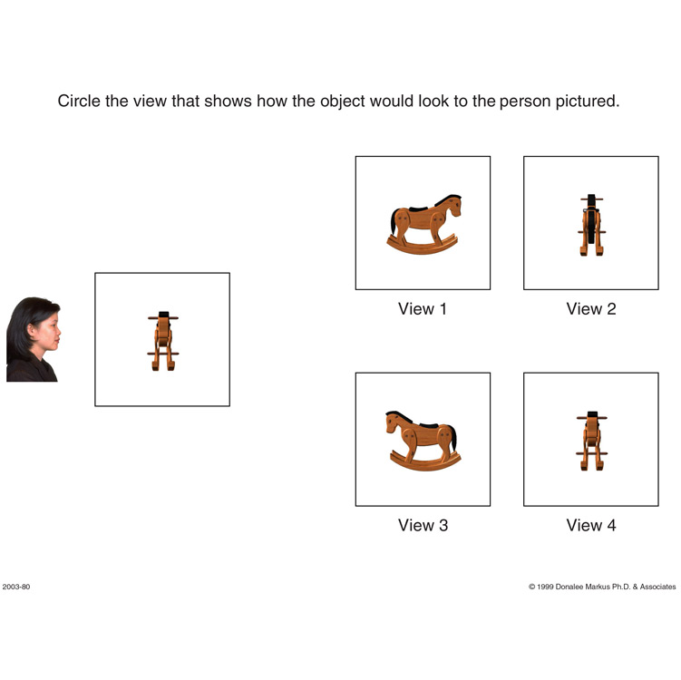 Spatial Orientation Variation in Perspective 2 preview page 3