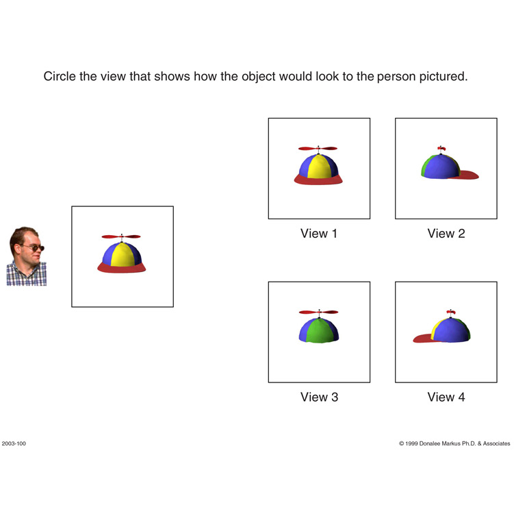 Spatial Orientation Variation in Perspective 2 preview page 5