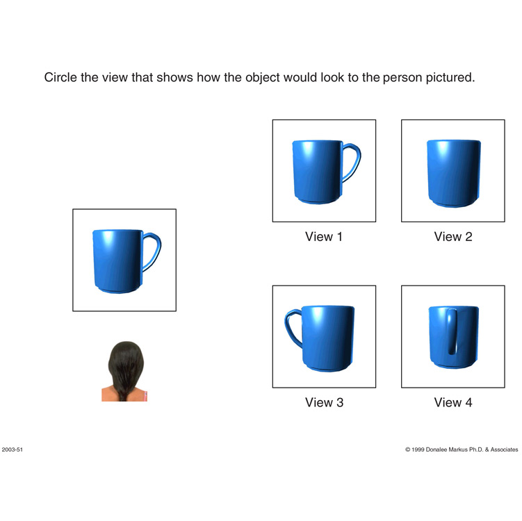 Spatial Orientation Variation in Perspective 2 preview page 6