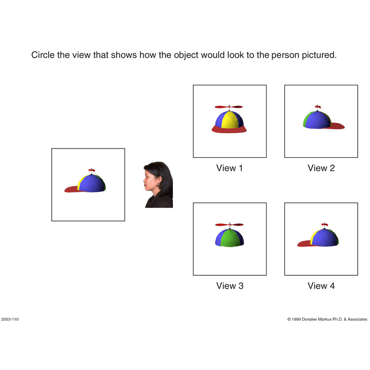 Spatial Orientation Variation in Perspective 3 preview page 1