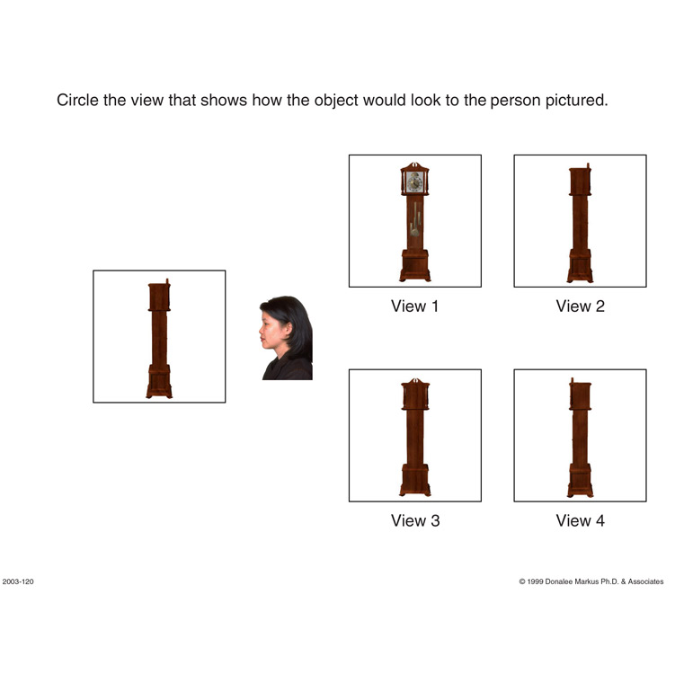 Spatial Orientation Variation in Perspective 3 preview page 2
