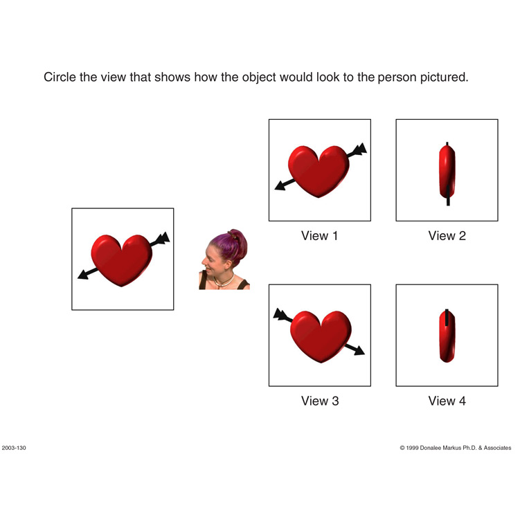 Spatial Orientation Variation in Perspective 3 preview page 3