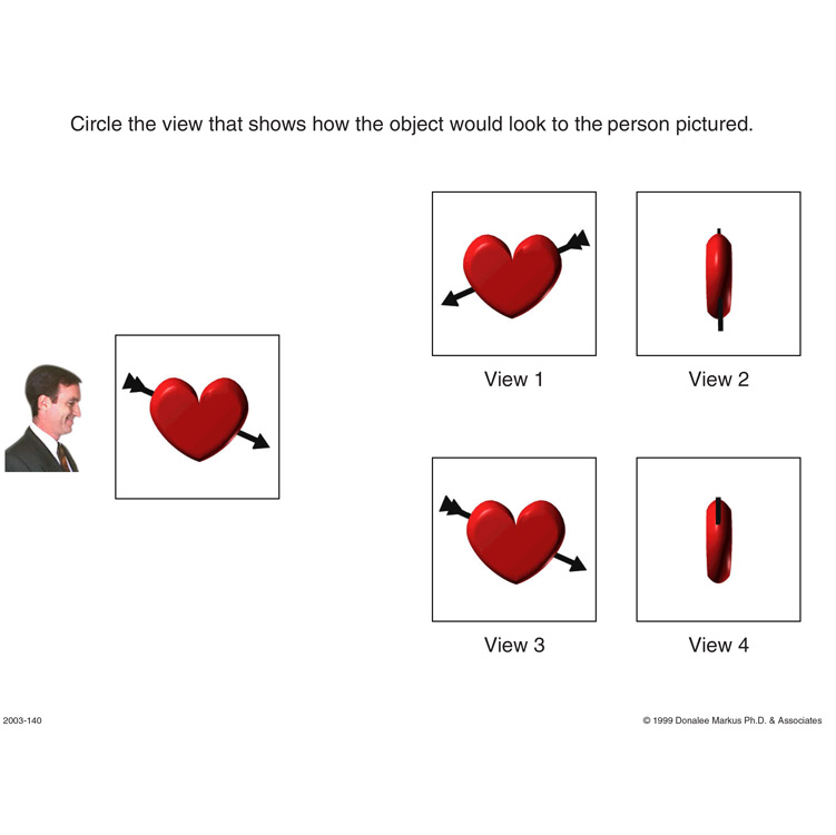 Spatial Orientation Variation in Perspective 3 preview page 4