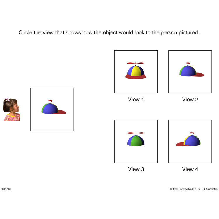 Spatial Orientation Variation in Perspective 3 preview page 5